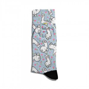 Eğlenceli Çorap Unisex Gri Animal  Baskılı Çorap ECSOKET003