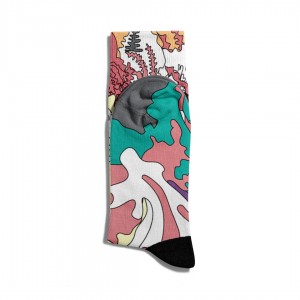 Eğlenceli Çorap Unisex Renk Geçişli Baskılı Çorap ECSOKET162